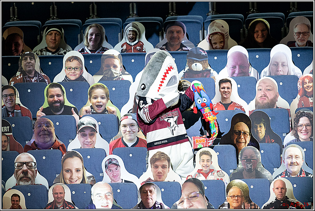 PENNY DEL;  Koelner Haie - Fischtown Pinguins Bremerhaven; Koeln, 12.02.2021